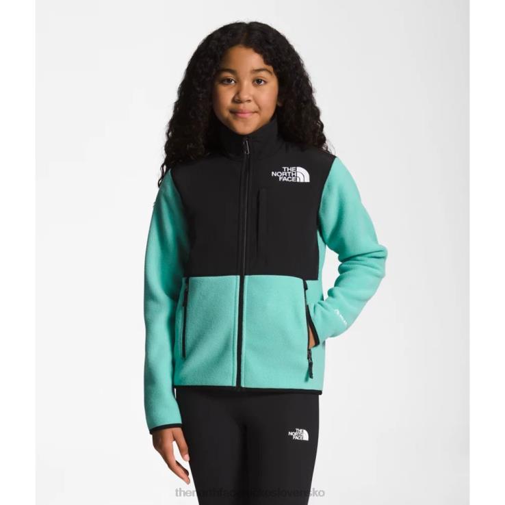 HLH085351 wasabi The North Face tínedžerská denali bunda