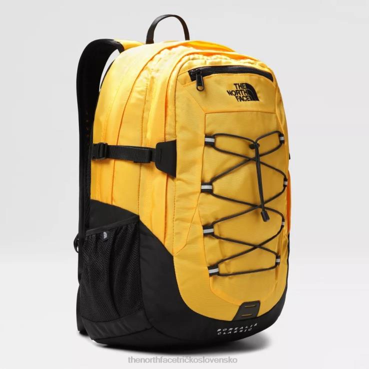 HLH082385 vrcholové zlato The North Face klasický batoh borealis